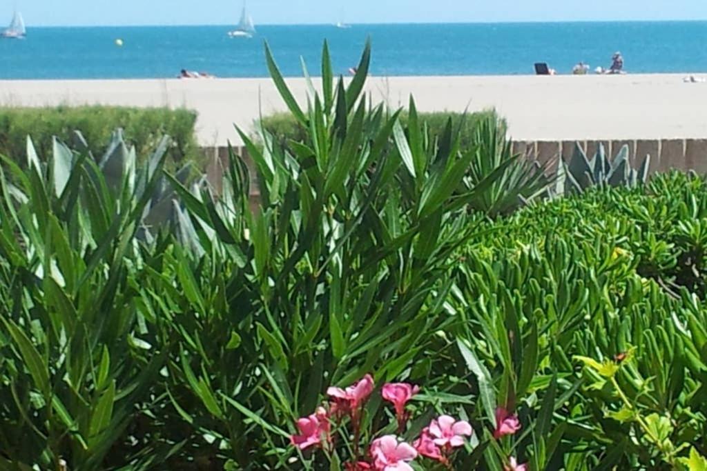 Cros Mer Et Piscine Saint-Pierre-la-Mer  Ngoại thất bức ảnh